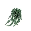 12cm String Of Pearls Artificial Plant In Black Ceramic Pot -Gardens and Outdoor Stores 12cm string of pearls artificial plant in black ceramic pot5010795682591 01c bq
