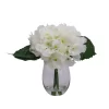 17cm White Hydrangeas Artificial Plant In Clear Glass Vase -Gardens and Outdoor Stores 17cm white hydrangeas artificial plant in clear glass vase5010795682638 01c bq