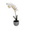 25cm White Orchid Artificial Plant In Grey Ceramic Pot -Gardens and Outdoor Stores 25cm white orchid artificial plant in grey ceramic pot5010795682669 02c bq