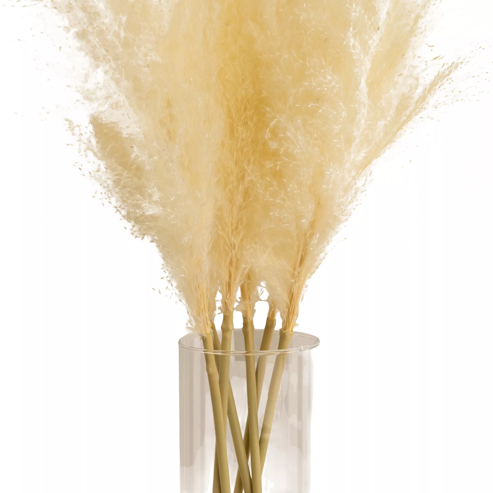 64cm White Pampas Grass Artificial Plant In Clear Glass Vase 4 64cm White Pampas Grass Artificial Plant In Clear Glass Vase - Image 2