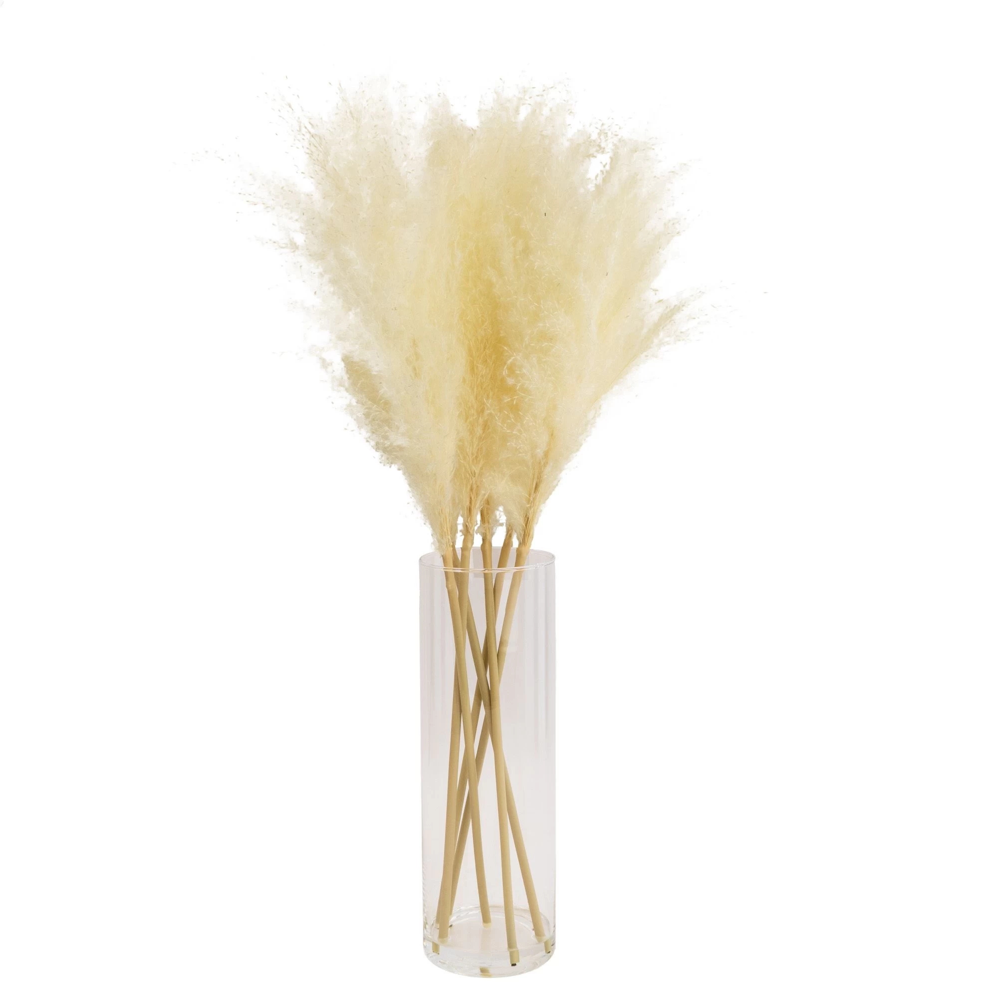 64cm White Pampas Grass Artificial Plant In Clear Glass Vase 3 64cm White Pampas Grass Artificial Plant In Clear Glass Vase
