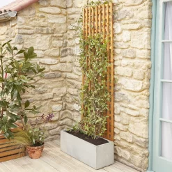 6ft Pine Trellis Panel (W)122cm X (H)183cm 13 6ft Pine Trellis Panel (W)122cm X (H)183cm -Gardens and Outdoor Stores 6ft pine trellis panel w 122cm x h 183cm3663602430636 04bq