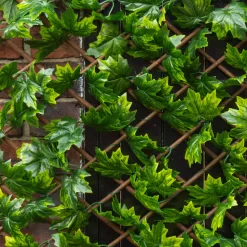 Apollo Maple Leaf Willow Trellis Panel (W)200cm X (H)100cm 7 Apollo Maple Leaf Willow Trellis Panel (W)200cm X (H)100cm -Gardens and Outdoor Stores apollo maple leaf willow trellis panel w 200cm x h 100cm5037653779309 02i bq