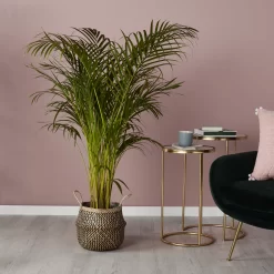 Black Seagrass Herringbone Circular Plant Pot (Dia)25cm -Gardens and Outdoor Stores black seagrass herringbone circular plant pot dia 25cm3663602442516 01i bq