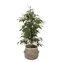 Black Seagrass Herringbone Circular Plant Pot (Dia)25cm -Gardens and Outdoor Stores black seagrass herringbone circular plant pot dia 25cm3663602442516 21c bq