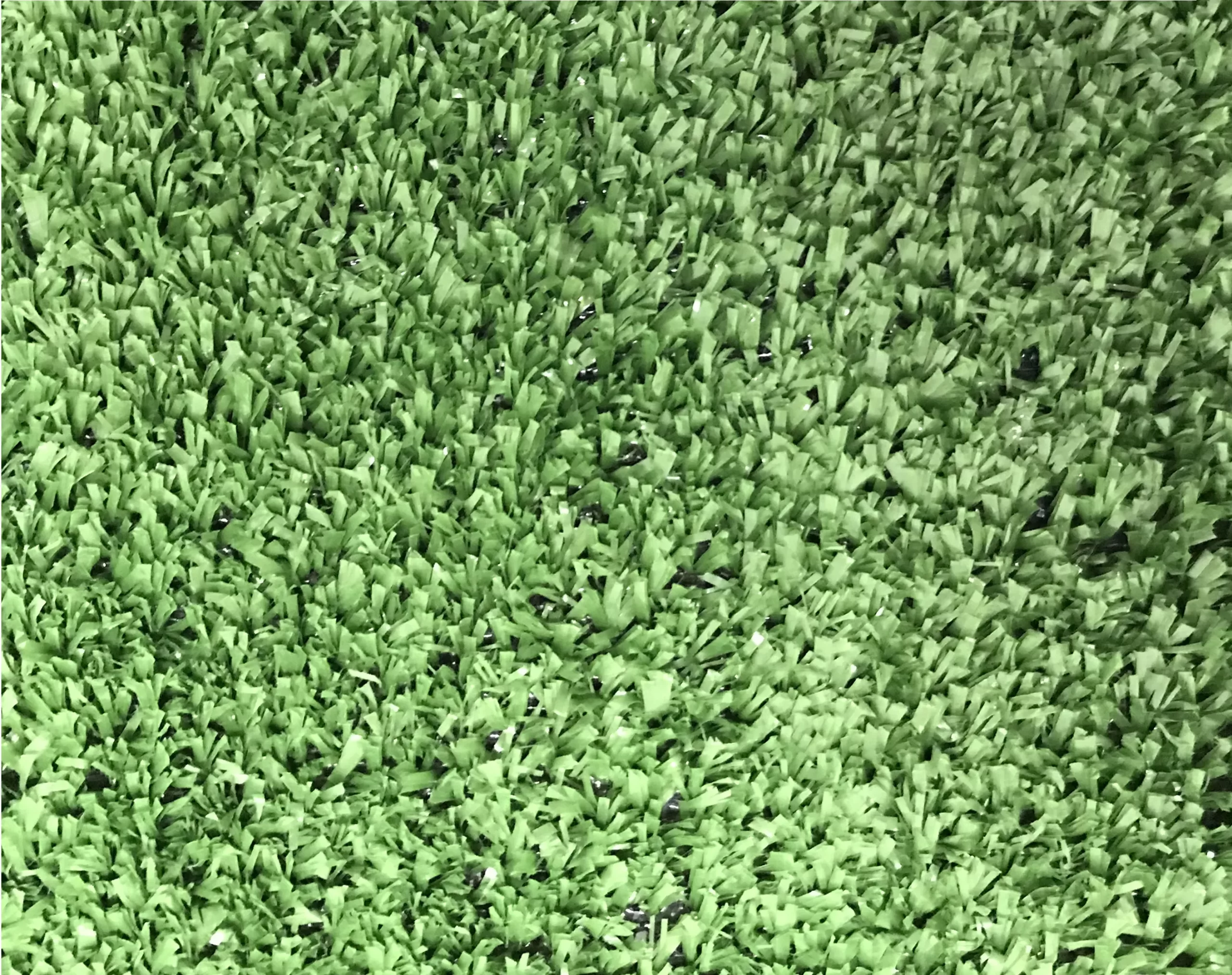 Boronia Artificial Grass (L)4m (W)2m (T)7mm 3 Boronia Artificial Grass (L)4m (W)2m (T)7mm