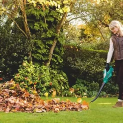 Bosch Power For All Cordless 18V ALB 18 LI Garden Blower -Gardens and Outdoor Stores bosch power for all cordless 18v alb 18 li garden blower3165140843232 03bq