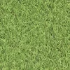 Dennis Medium Density Artificial Grass (L)4m (W)1m (T)22mm -Gardens and Outdoor Stores dennis medium density artificial grass l 4m w 1m t 22mm3663602425175 36c