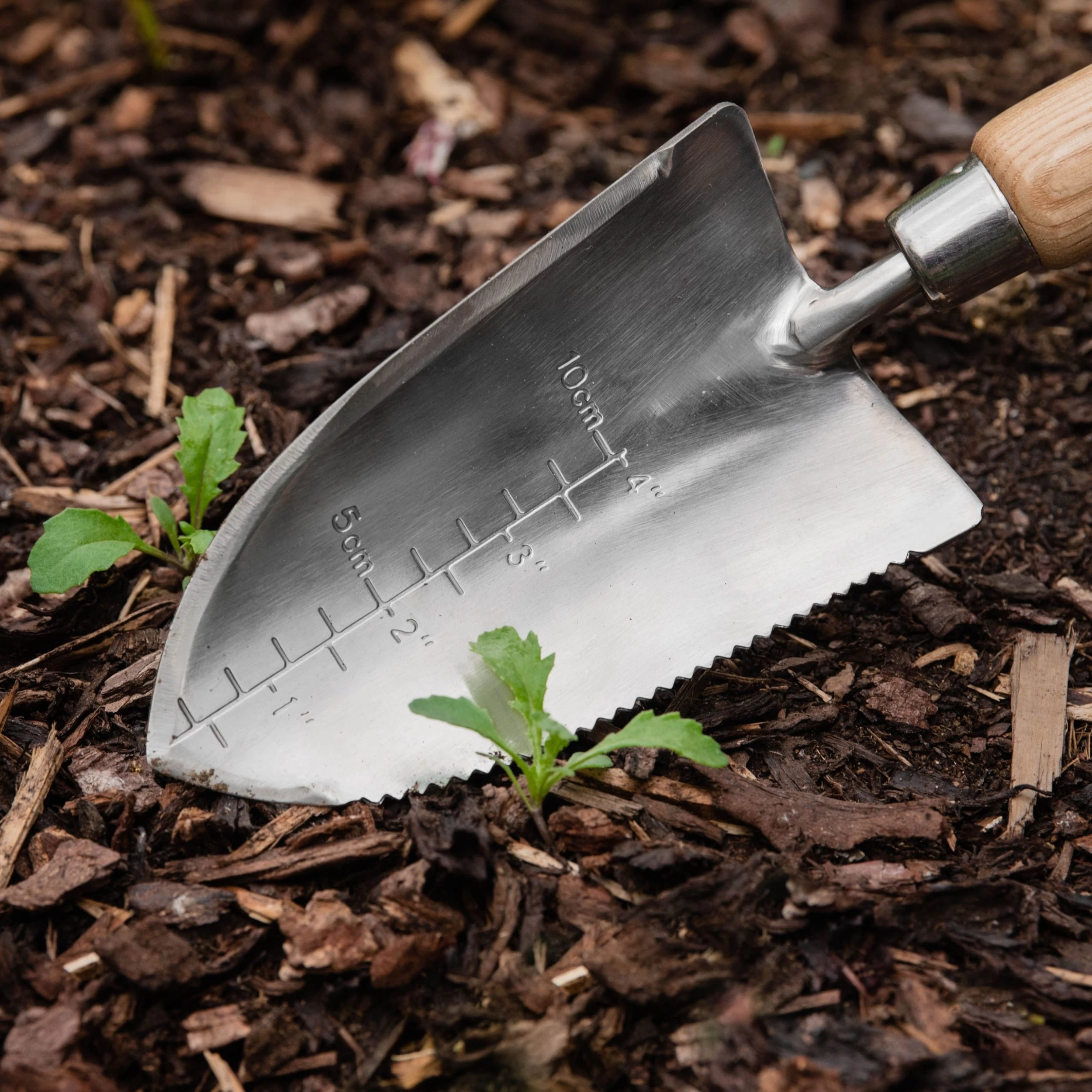 Kent & Stowe Hand Trowels Natural Trowel (H) 320mm X (W) 86mm 4 Kent & Stowe Hand Trowels Natural Trowel (H) 320mm X (W) 86mm - Image 2