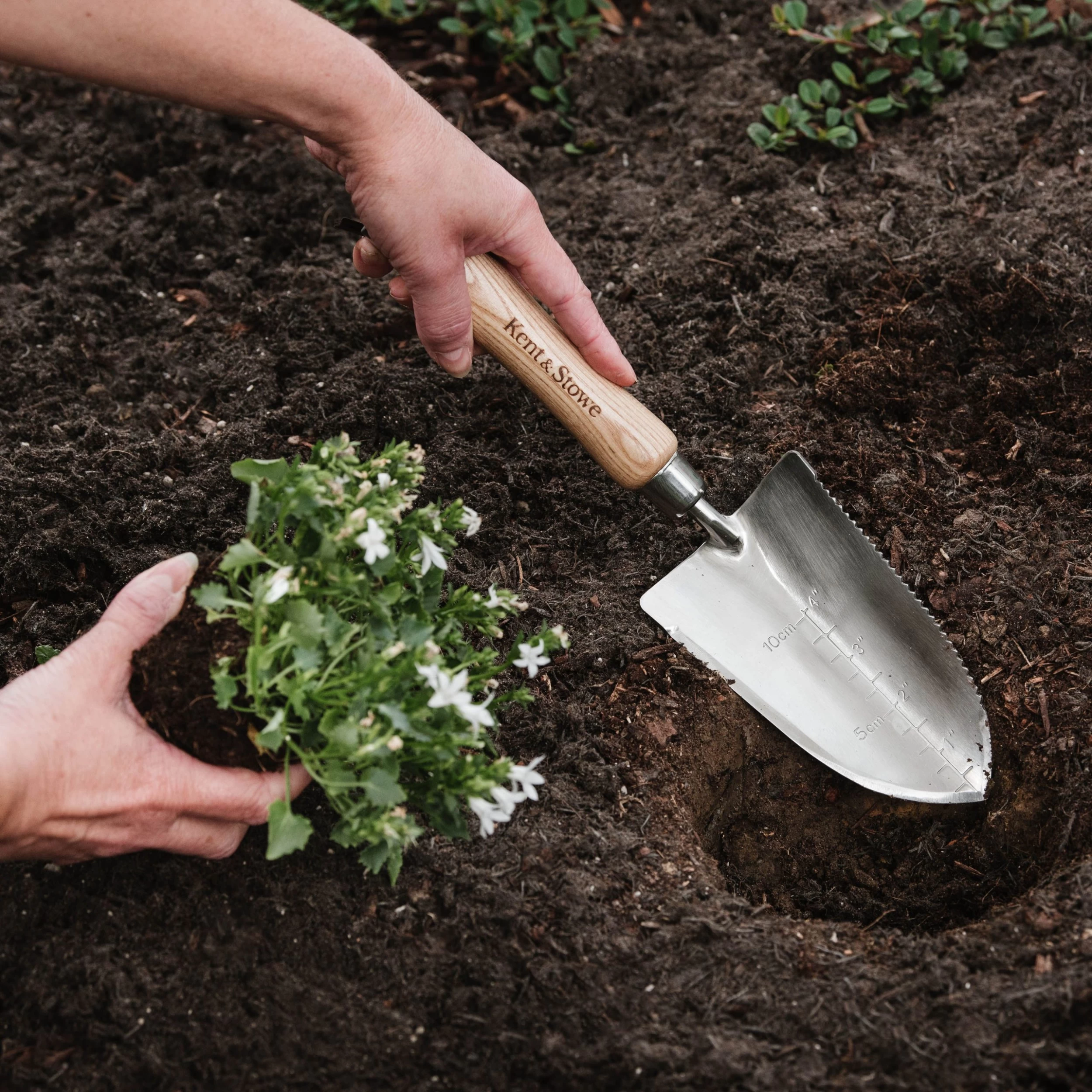 Kent & Stowe Hand Trowels Natural Trowel (H) 320mm X (W) 86mm 7 Kent & Stowe Hand Trowels Natural Trowel (H) 320mm X (W) 86mm - Image 5
