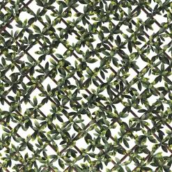 Klikstrom Extensible Fence With Bayberry Leaves Square Artificial Plant Wall, (H)1m (W)2m -Gardens and Outdoor Stores klikstrom extensible fence with bayberry leaves square artificial plant wall h 1m w 2m5059340671970 36c