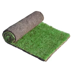 Gardens and Outdoor Stores 33 Lawn Turf, 25m² Pack