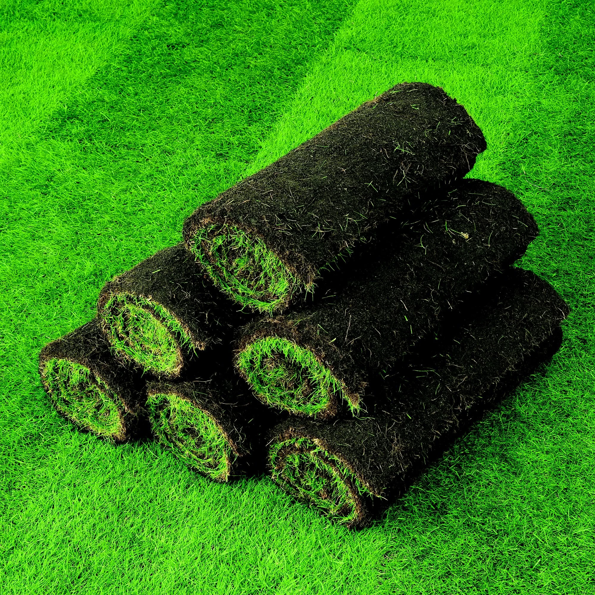 Lawn Turf, 50m² Pack 8 Lawn Turf, 50m² Pack - Image 6