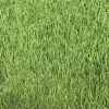 Linden Medium Density Artificial Grass (L)4m (W)1m (T)32mm -Gardens and Outdoor Stores linden medium density artificial grass l 4m w 1m t 32mm3663602425236 36c