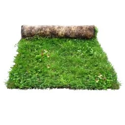 Gardens and Outdoor Stores 35 Meadowmat Wildflower Turf, 20m² Pack