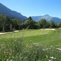 Meadowmat Wildflower Turf, 20m² Pack -Gardens and Outdoor Stores meadowmat wildflower turf 20m pack04168157 04i bq