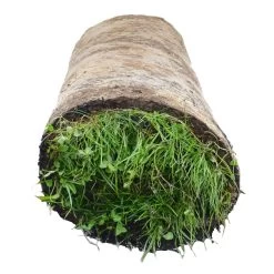 Gardens and Outdoor Stores -Gardens and Outdoor Stores meadowmat wildflower turf 20m pack04168157 21c
