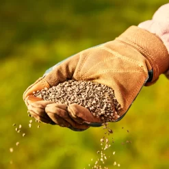 Miracle-Gro Perform Universal Plant Feed Granules 2kg 7 Miracle-Gro Perform Universal Plant Feed Granules 2kg -Gardens and Outdoor Stores miracle gro perform universal plant feed granules 2kg5010272189032 01i BQ