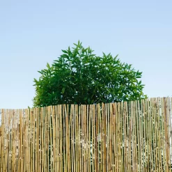 Natural Reed Garden Screen (H)1.8m (W)3m -Gardens and Outdoor Stores natural reed garden screen h 1 8m w 3m3663602428060 01i