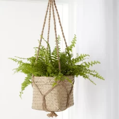 Natural Seagrass Herringbone Round Plant Pot (Dia)20.5cm -Gardens and Outdoor Stores natural seagrass herringbone round plant pot dia 20 5cm3663602442479 06i bq