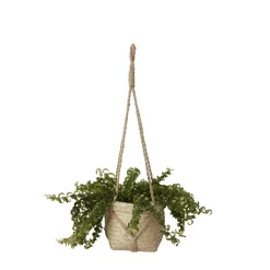 Natural Seagrass Herringbone Round Plant Pot (Dia)20.5cm -Gardens and Outdoor Stores natural seagrass herringbone round plant pot dia 20 5cm3663602442479 21c bq