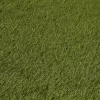 Olive High Density Artificial Grass (L)4m (W)1m (T)47mm -Gardens and Outdoor Stores olive high density artificial grass l 4m w 1m t 47mm3663602425335 01bq