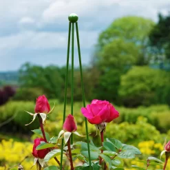 Panacea Circular Obelisks, 1.4m 5 Panacea Circular Obelisks, 1.4m -Gardens and Outdoor Stores panacea circular obelisks 1 4m0093432825631 01i bq