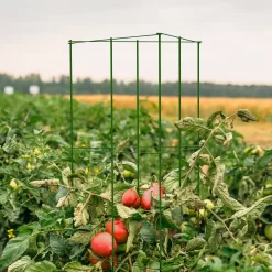 Panacea Steel 3-sided Frame Plant Support Frame (L)119cm (Dia)36cm -Gardens and Outdoor Stores panacea steel 3 sided frame plant support frame l 119cm dia 36cm0093432825518 01i bq