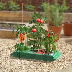 Panacea Steel Curved Plant Support Frame (L)47cm (Dia)35cm, Set Of 3 5 Panacea Steel Curved Plant Support Frame (L)47cm (Dia)35cm, Set Of 3 -Gardens and Outdoor Stores panacea steel curved plant support frame l 47cm dia 35cm set of 30093432825488 01i bq