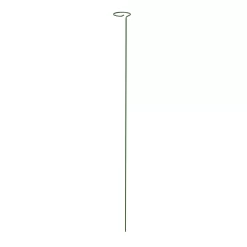 Panacea Steel Single Stem Plant Support (L)122cm (Dia)8.6cm, Pack Of 3