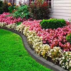 Primeur Grey Rubber Roman Stone Edging Roll (H)8.8cm (L)1.2m -Gardens and Outdoor Stores primeur grey rubber roman stone edging roll h 8 8cm l 1 2m5907736267477 02i bq