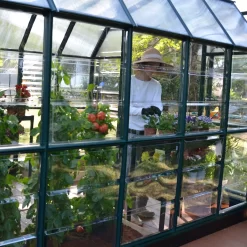 Rion Grand Gardner Green 8x20 Greenhouse 15 Rion Grand Gardner Green 8x20 Greenhouse -Gardens and Outdoor Stores rion grand gardner green 8x20 greenhouse7290103121648 04i bq