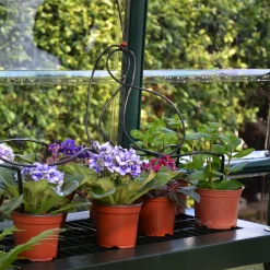 Rion Grand Gardner Green 8x20 Greenhouse 13 Rion Grand Gardner Green 8x20 Greenhouse -Gardens and Outdoor Stores rion grand gardner green 8x20 greenhouse7290103121648 38c