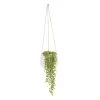 String Of Beads In 13cm White Ceramic Hanging Pot