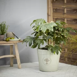 Verve Barcău Olive Ceramic Circular Plant Pot (Dia)40cm -Gardens and Outdoor Stores verve barcau olive ceramic circular plant pot dia 40cm5059340327761 01i
