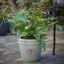Verve Barcău Olive Ceramic Conical Plant Pot (Dia)20cm -Gardens and Outdoor Stores verve barcau olive ceramic conical plant pot dia 20cm5059340327808 01i