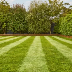 Verve Fine English Grass Seeds, 1.25kg 8 Verve Fine English Grass Seeds, 1.25kg -Gardens and Outdoor Stores verve fine english grass seeds 1 25kg3663602947592 01i