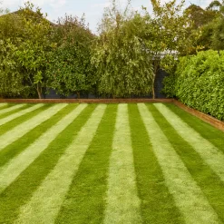 Verve Fine English Grass Seeds, 1.25kg 9 Verve Fine English Grass Seeds, 1.25kg -Gardens and Outdoor Stores verve fine english grass seeds 1 25kg3663602947592 02i