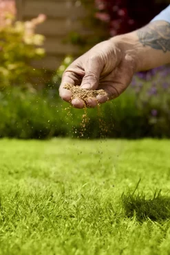 Verve Mamaterra Lawn Feed Granules 100m² 2.5kg -Gardens and Outdoor Stores verve mamaterra lawn feed granules 100m 2 5kg5063022034779 02i