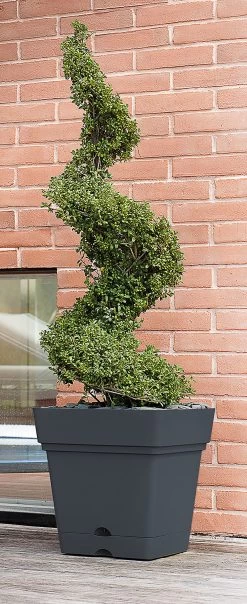 Verve Nurgul Dark Grey Plastic Square Plant Pot (Dia)38cm -Gardens and Outdoor Stores verve nurgul dark grey plastic square plant pot dia 38cm3663602899891 02bq